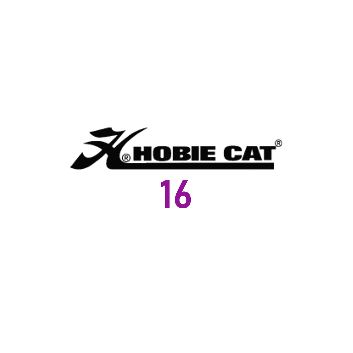 Compatibile Hobie Cat 16 Standard