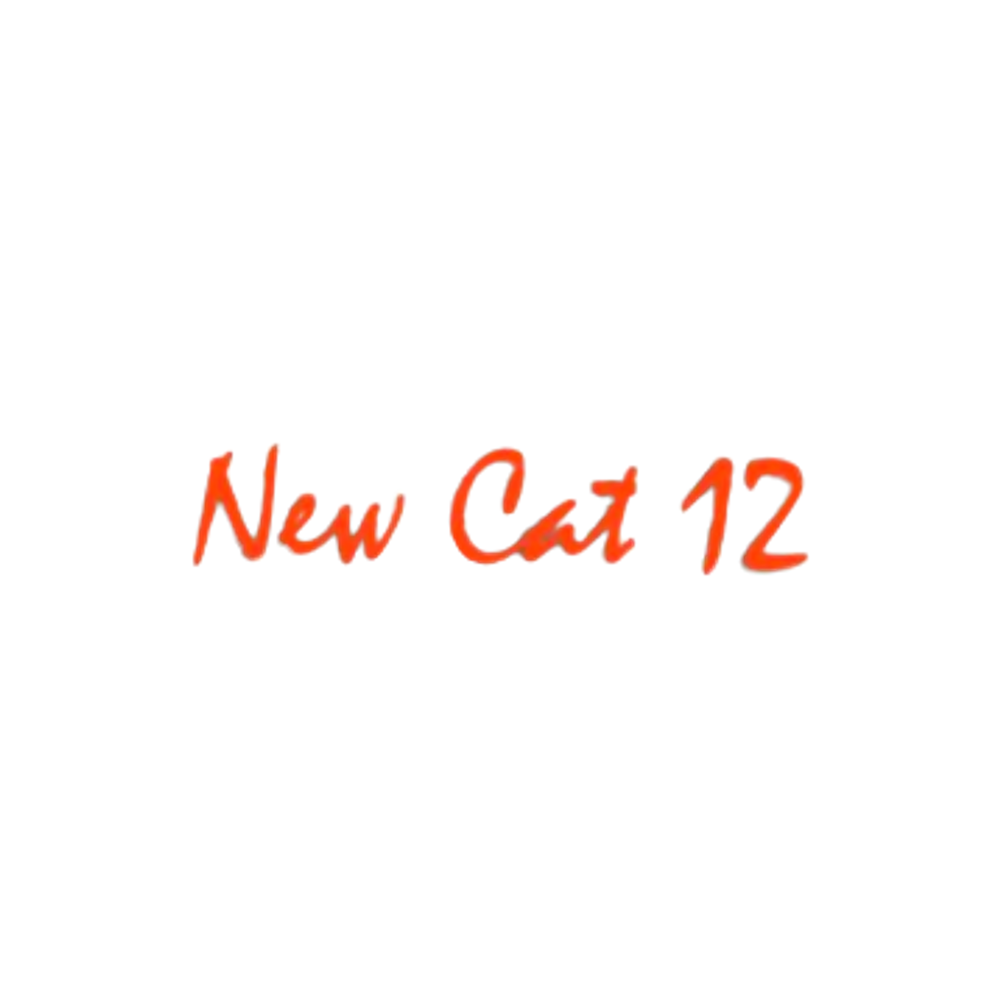 Kompatibel New Cat 12