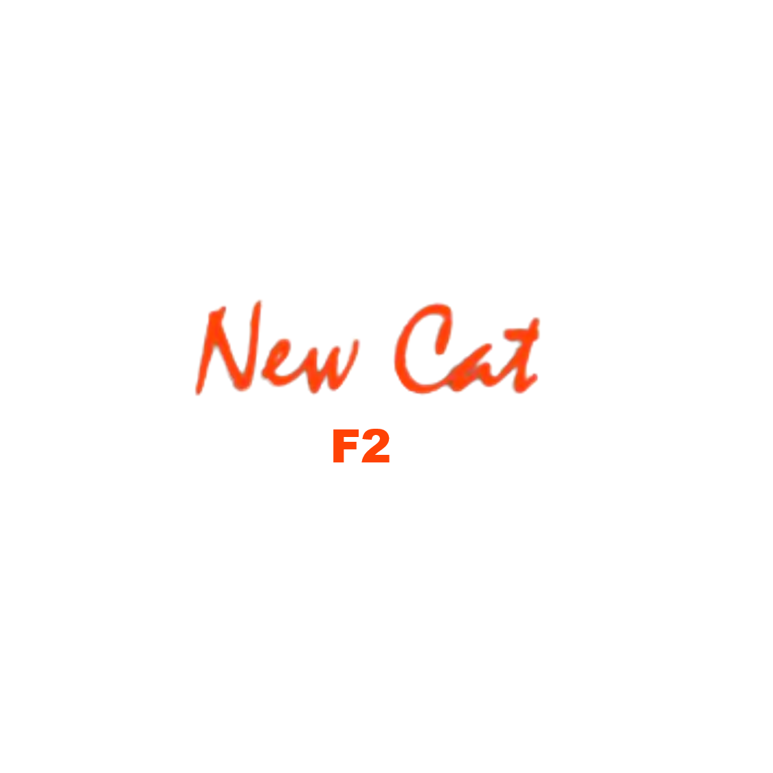 Kompatibel New Cat F2