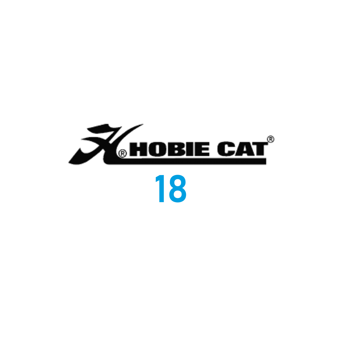 Hobie cat 18