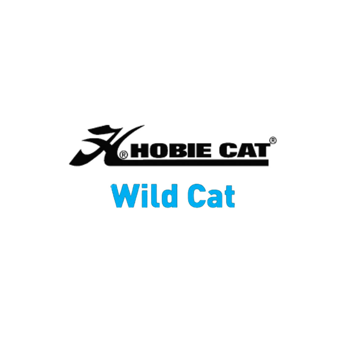 Hobie Wild Cat F18
